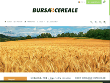 Tablet Screenshot of bursacereale.com